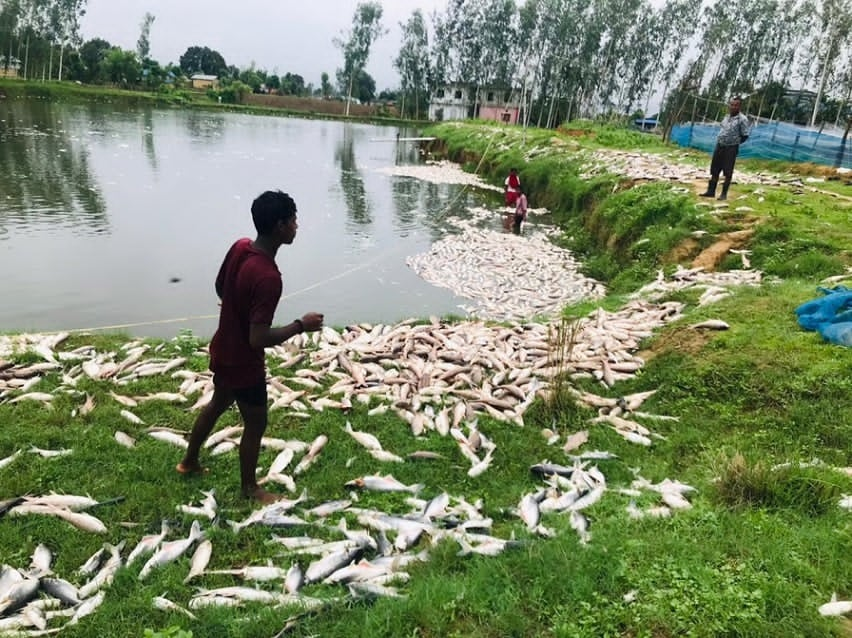 ब्लिक हाइ स्कुलमा कक्षा ११ का लागि प्रवेश परीक्षामा ५१७ जना सहभागी