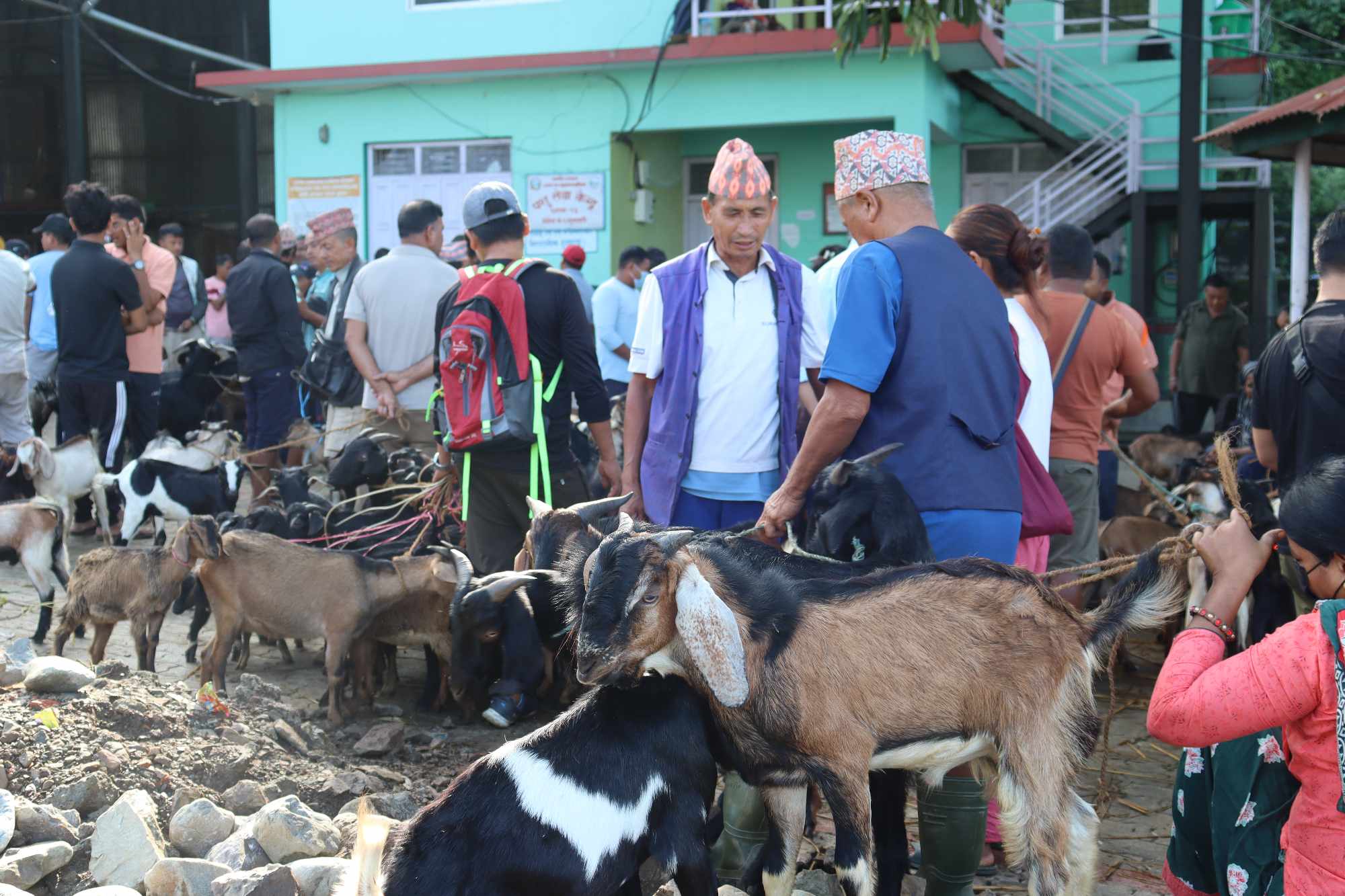 कास्य पदक विजेता पलेशालाई प्रचण्डद्वारा सम्मान